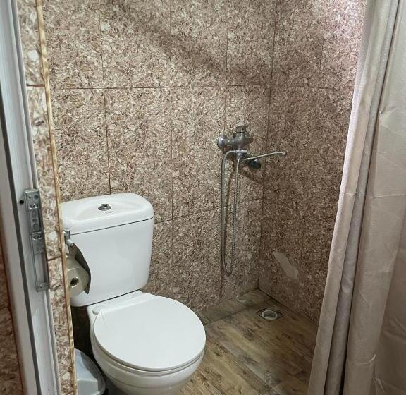اتاق اکونومی, Tskaltubo Guesthouse Oda