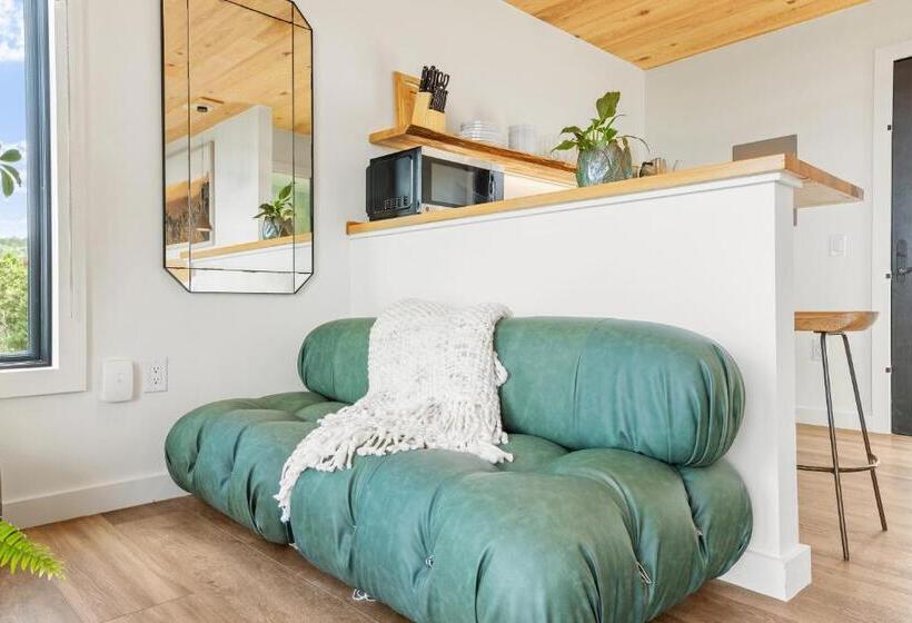 ビラホテル1ベッドルーム, 8br Poolside Villa Near Downtown Steam Room Plus Spa