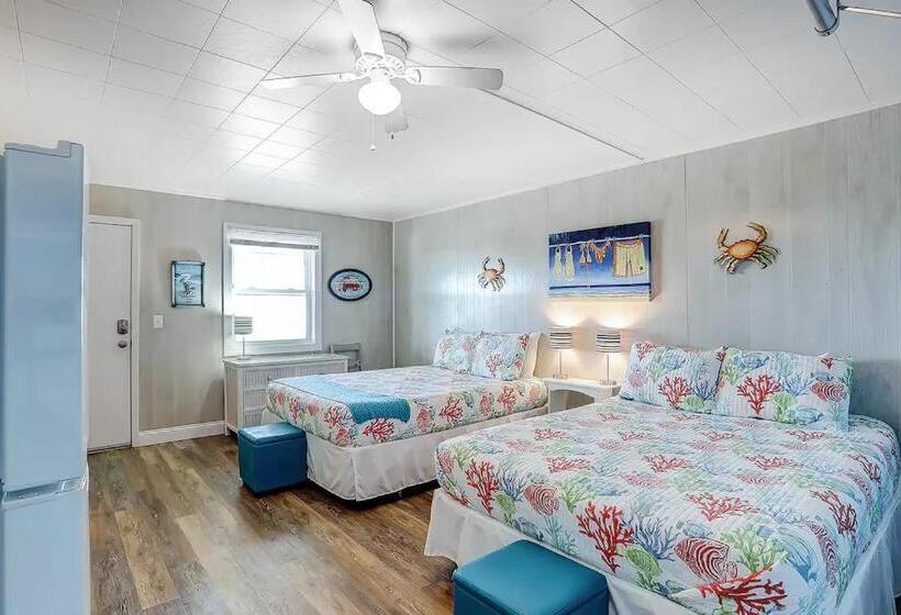 バルコニー付きスタンダードステューディオ, On Island Ocean View Beachy Studio In Campy 1970s Converted Motel