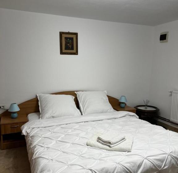 Номер Стандарт Вид на Сад, Casa Guriță