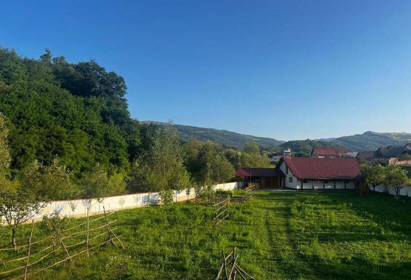 חדר סטנדרט נוף להרים, Casa Guriță