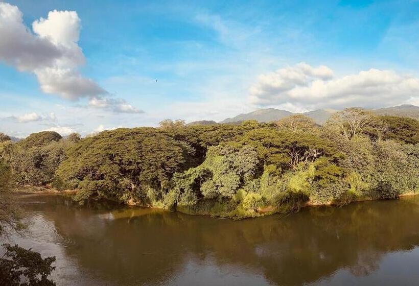 マウンテンビュースタンダードルーム, Varsity Villa