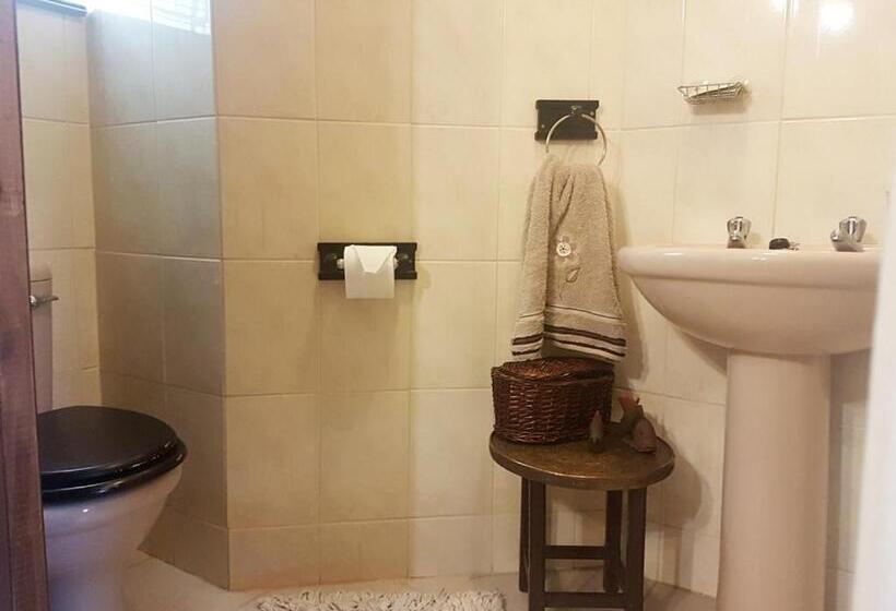 غرفة قياسية, Lizzie S