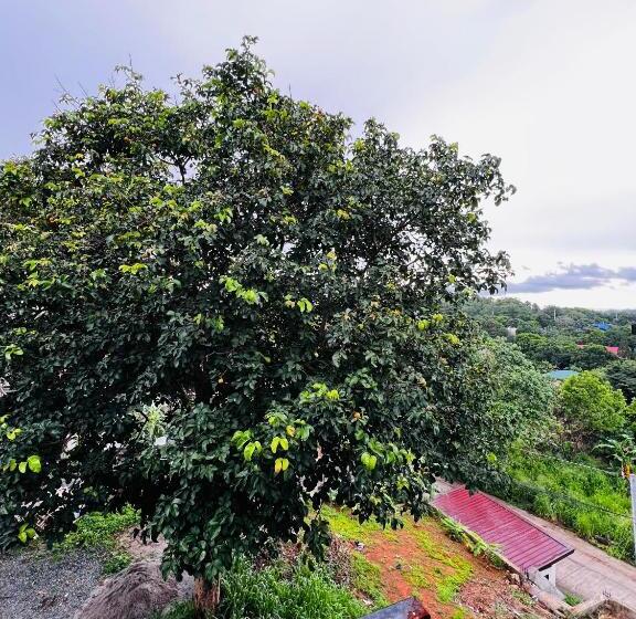 2 Bedroom Family Apartment with Views, Ataraxia Guest House