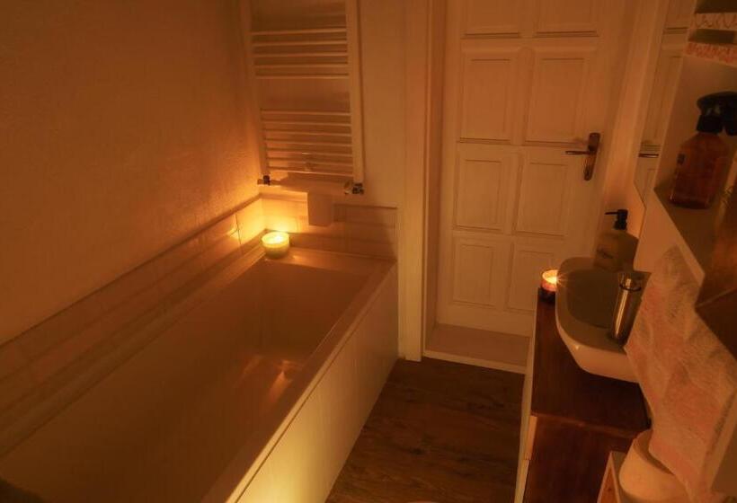 غرفة قياسية, Casa Din Gradina Sabangia