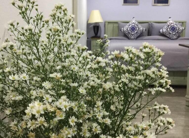 Habitació Deluxe, Bc Summer Beach