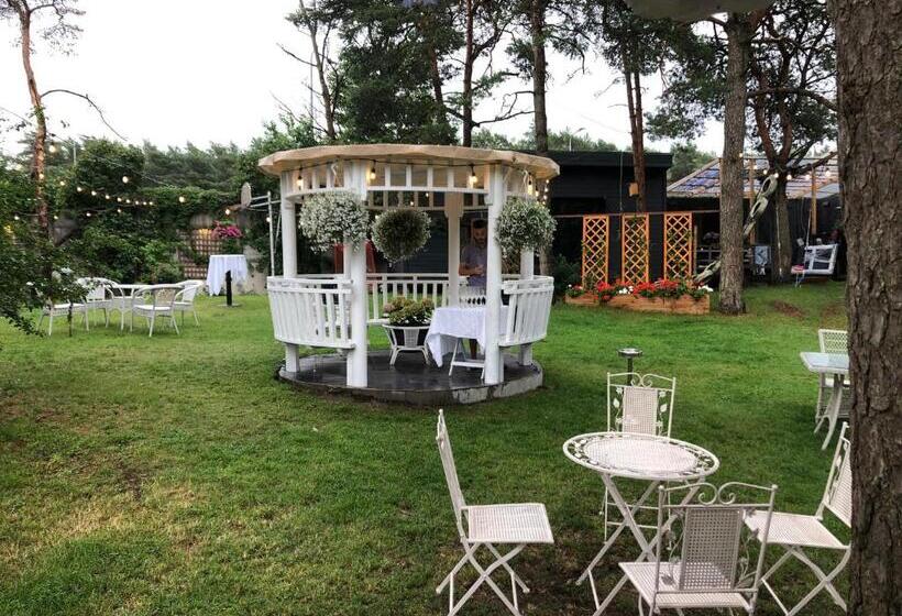 سوئیت با بالکن, Paivilla Boutique