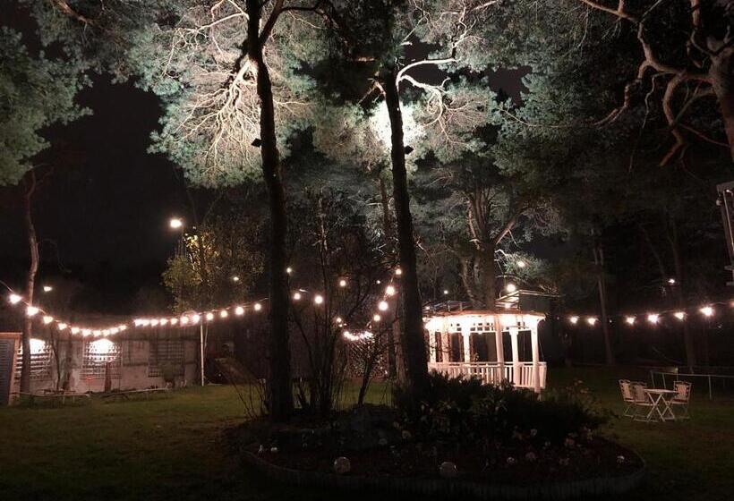 اتاق لوکس با بالکن, Paivilla Boutique