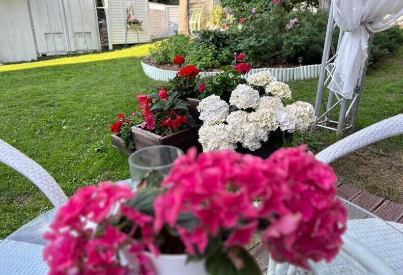 اتاق استاندارد با تخت بزرگ, Paivilla Boutique