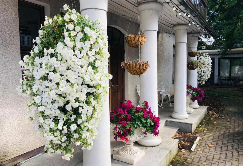 اتاق یک تخته با تراس, Paivilla Boutique