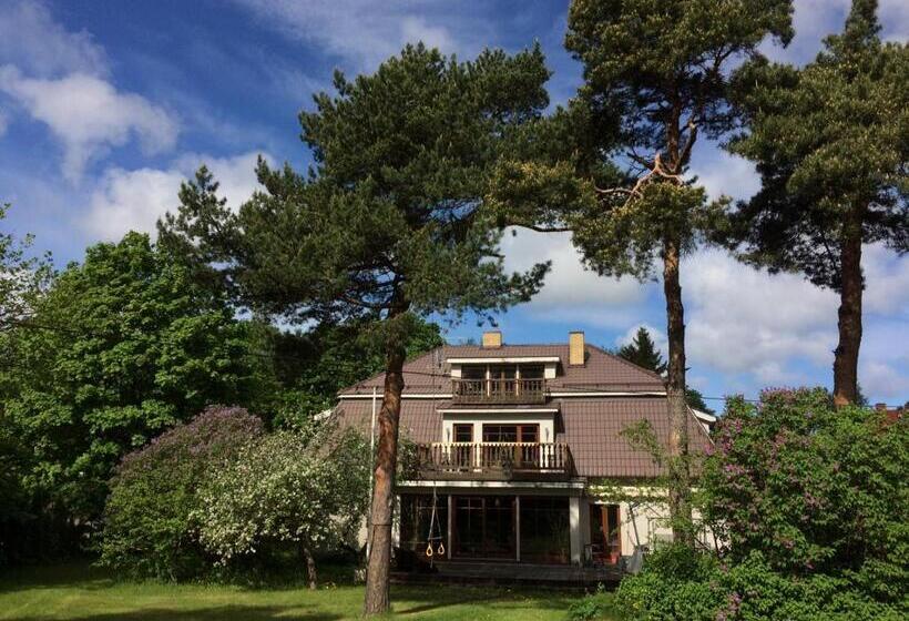 اتاق لوکس با بالکن, Paivilla Boutique