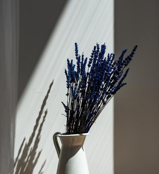 اتاق استاندارد با بالکن, Roof Garden