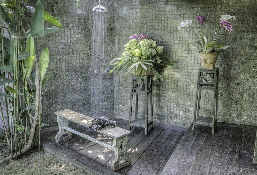 디럭스 스튜디오, Villa Artis