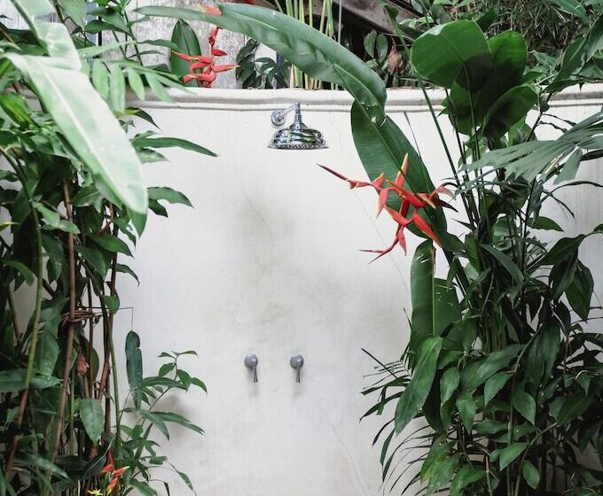 디럭스 스튜디오, Villa Artis