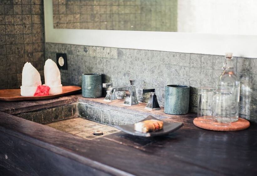 디럭스 스튜디오, Villa Artis