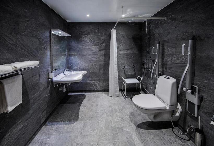 غرفة قياسية لذوى الاحتياجات الخاصة, Arenahotellet I Uppsala