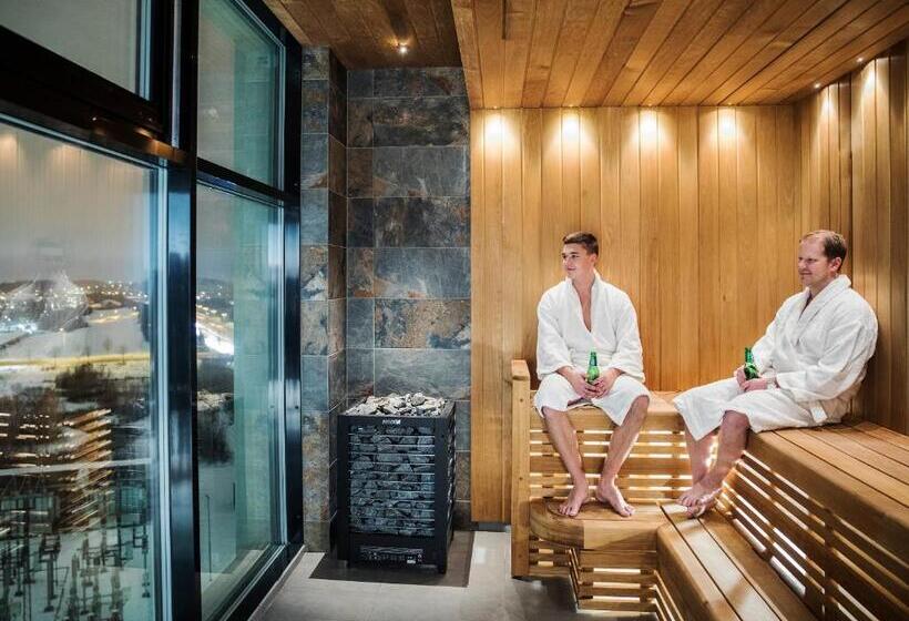 غرفة ديلوكس, Arenahotellet I Uppsala