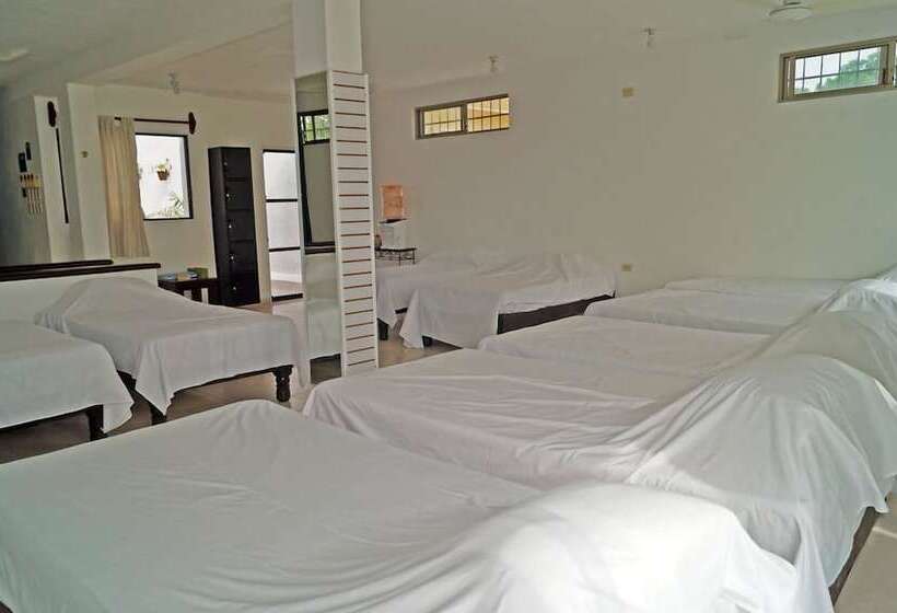 Cama em Quarto Compartilhado, Hostal Frida   Adults Only   Hostel