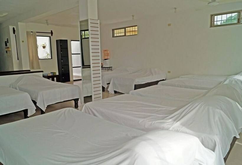Cama em Quarto Compartilhado, Hostal Frida   Adults Only   Hostel