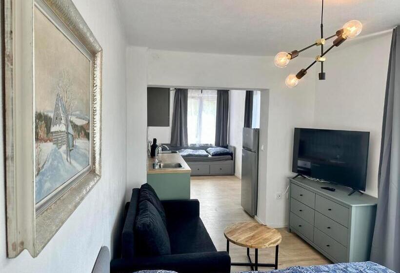 استودیو استاندارد با بالکن, Apartmány Berlín   Rokytnice Nad Jizerou