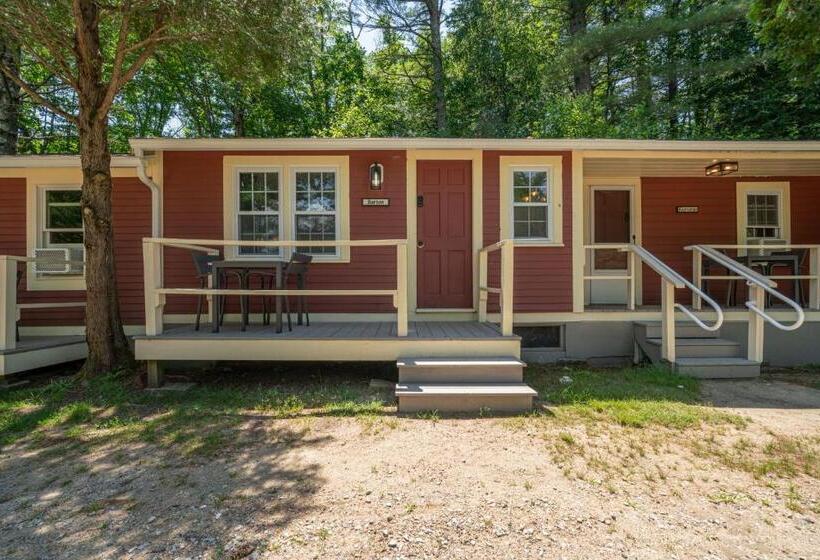 스탠다드 스튜디오 킹침대, The Aurora