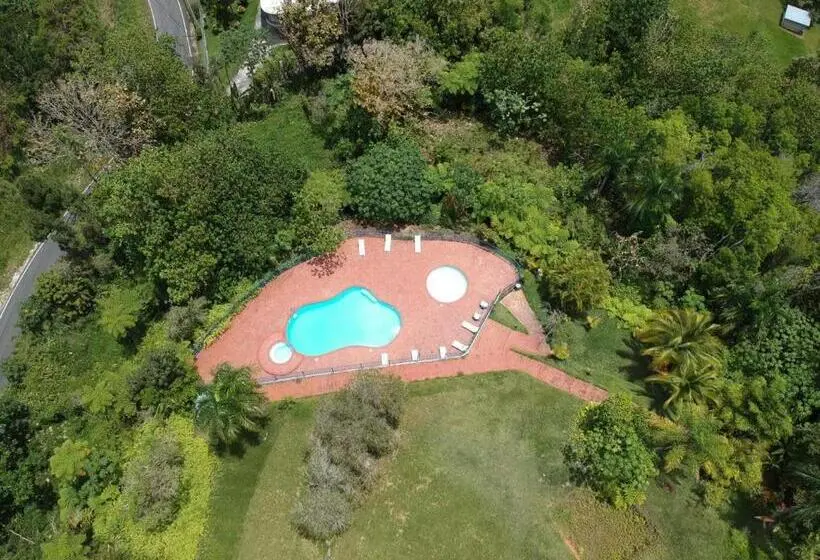 اتاق استاندارد با تخت بزرگ, El Oasis