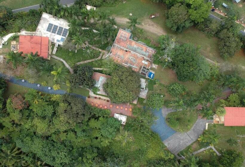 اتاق لوکس, El Oasis