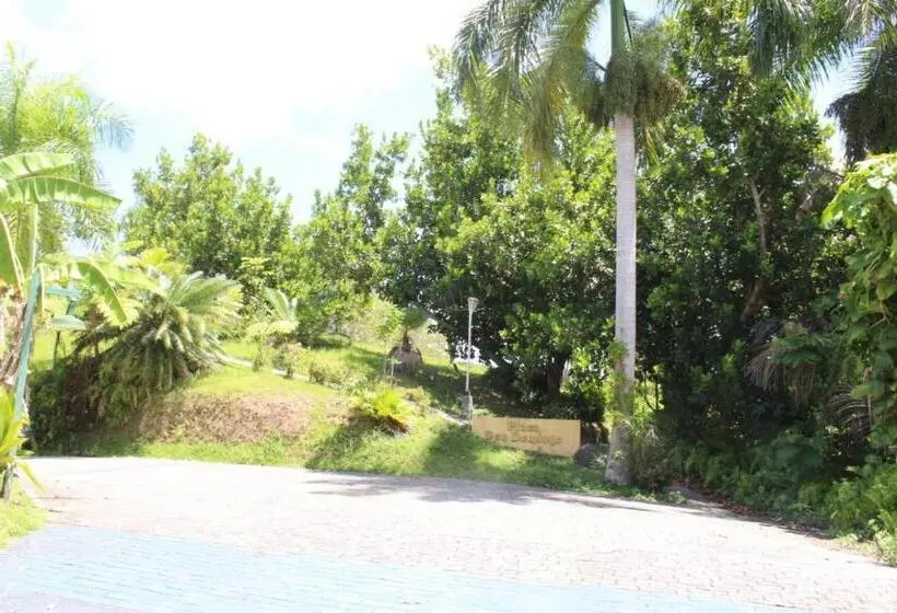 اتاق لوکس, El Oasis