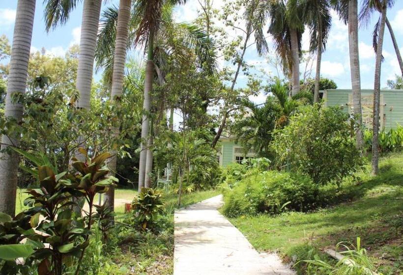 اتاق لوکس, El Oasis