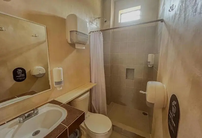 ルームシェアのワンベッド, Viajero Puerto Escondido Hostel