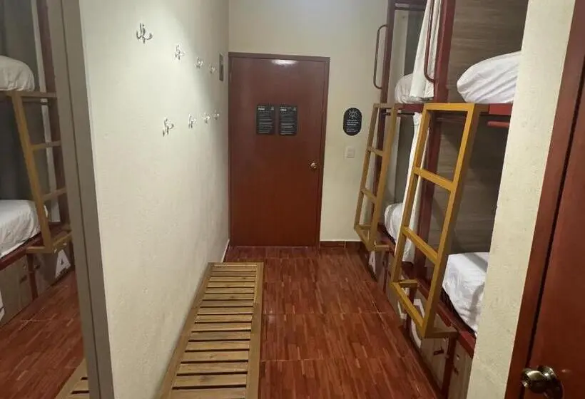 ルームシェアのワンベッド, Viajero Puerto Escondido Hostel