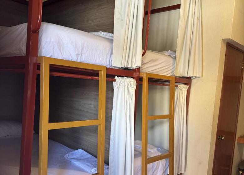 מיטה בחדר משותף, Viajero Puerto Escondido Hostel