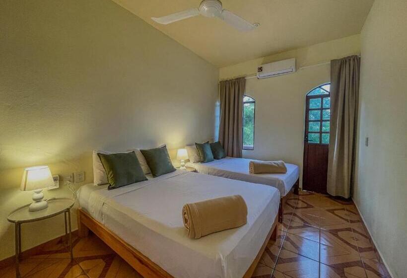 Четырехместный Номер Deluxe, Viajero Puerto Escondido Hostel