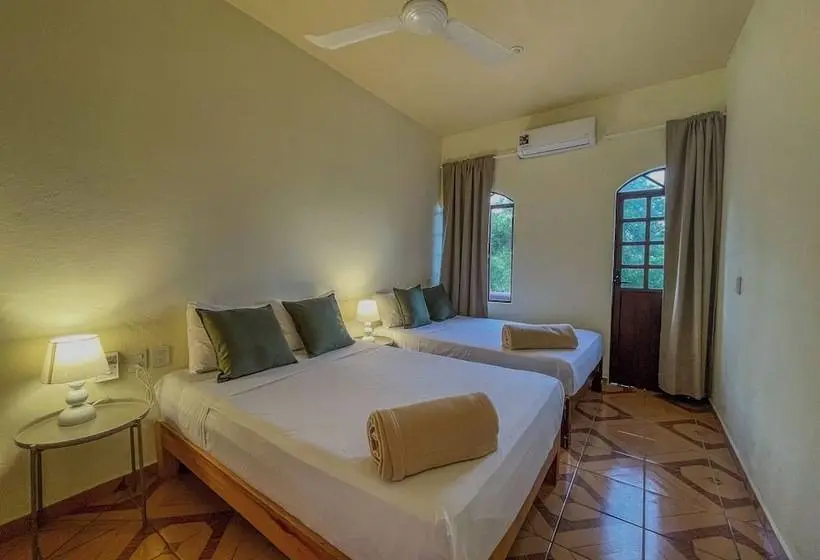 デラックスの4人部屋, Viajero Puerto Escondido Hostel
