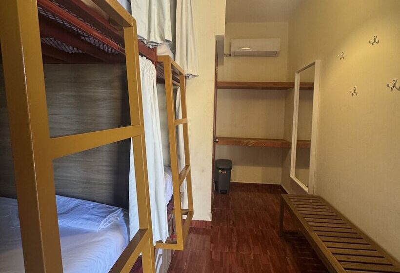 מיטה בחדר משותף, Viajero Puerto Escondido Hostel