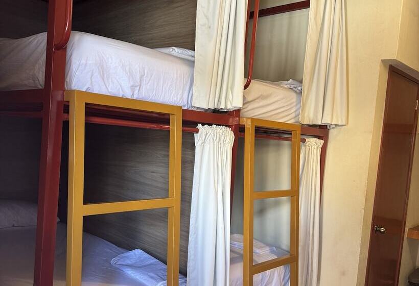 Кровать в Общей Комнате, Viajero Puerto Escondido Hostel