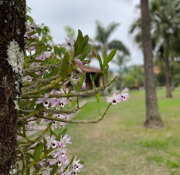 带阳台的三人标准间, Pousada Quinta Da Mantiqueira
