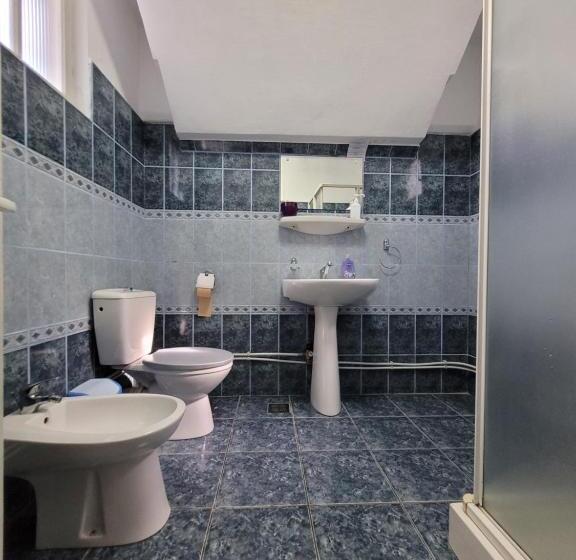 Номер Стандарт Трехместный, Pensiunea Casa Madalina