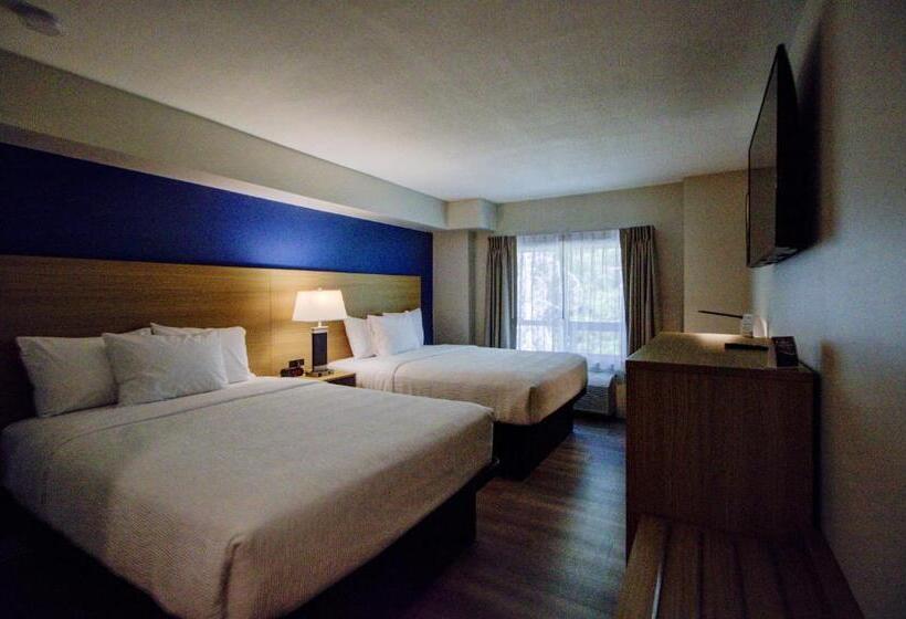 스탠다드 룸, Baymont By Wyndham Gold River