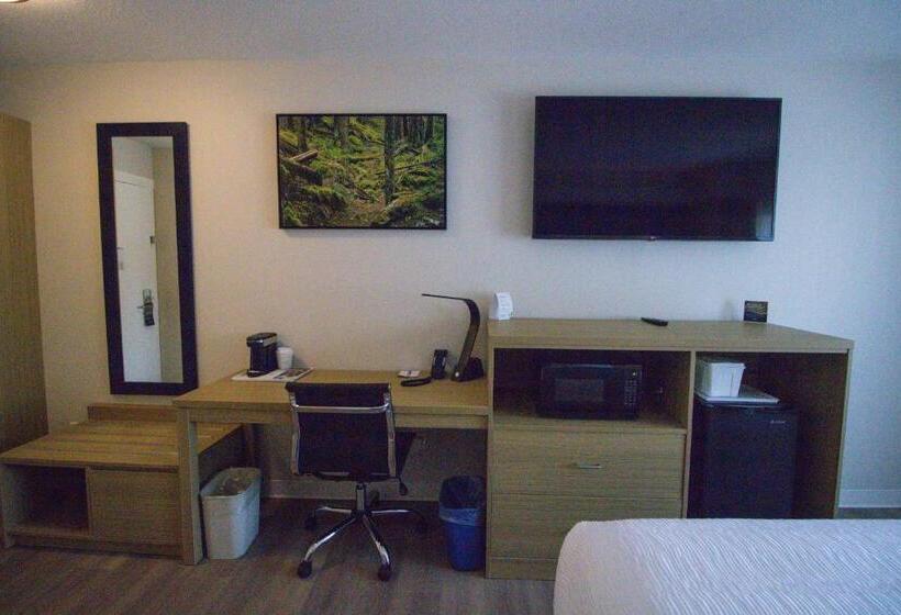 스탠다드 룸 킹사이즈 침대, Baymont By Wyndham Gold River