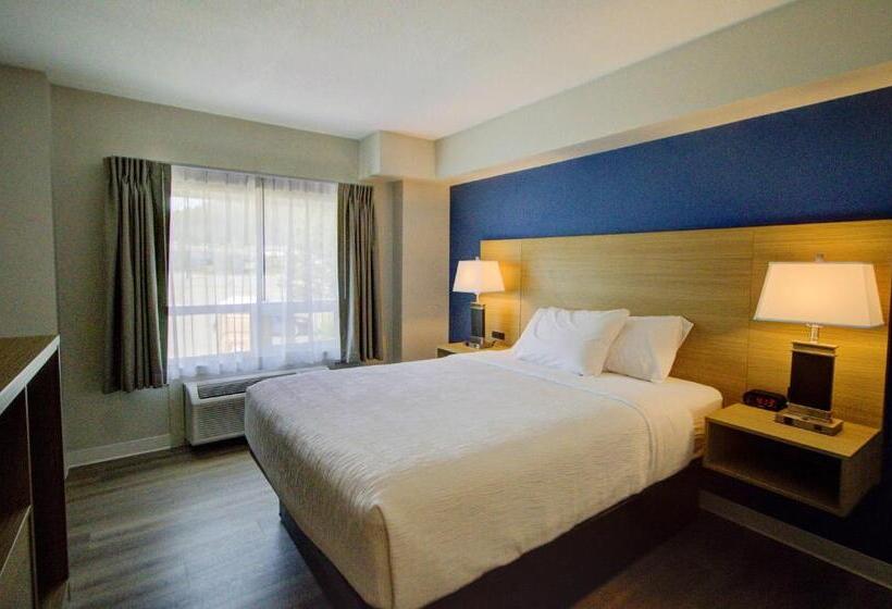 스탠다드 룸 킹사이즈 침대, Baymont By Wyndham Gold River