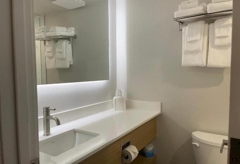 스탠다드 룸 킹사이즈 침대, Baymont By Wyndham Gold River