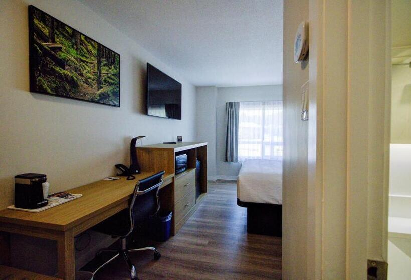 스탠다드 룸 킹사이즈 침대, Baymont By Wyndham Gold River