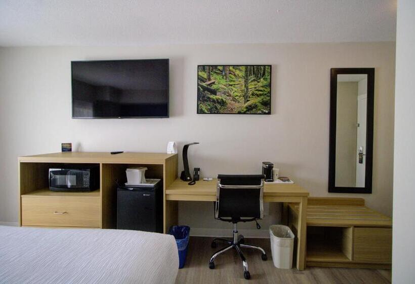 장애인을 위한 스탠다드 룸, Baymont By Wyndham Gold River