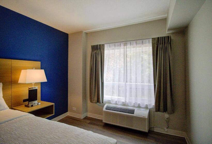 스위트 킹사이즈 침대, Baymont By Wyndham Gold River