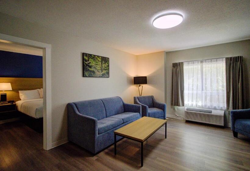 스위트 킹사이즈 침대, Baymont By Wyndham Gold River