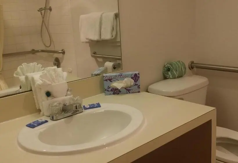 Standard-huone 2 Parivuodetta, Guest House Inn Medical District Near Texas Tech Univ