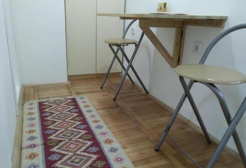 استودیوی استاندارد, Guest House Isidora