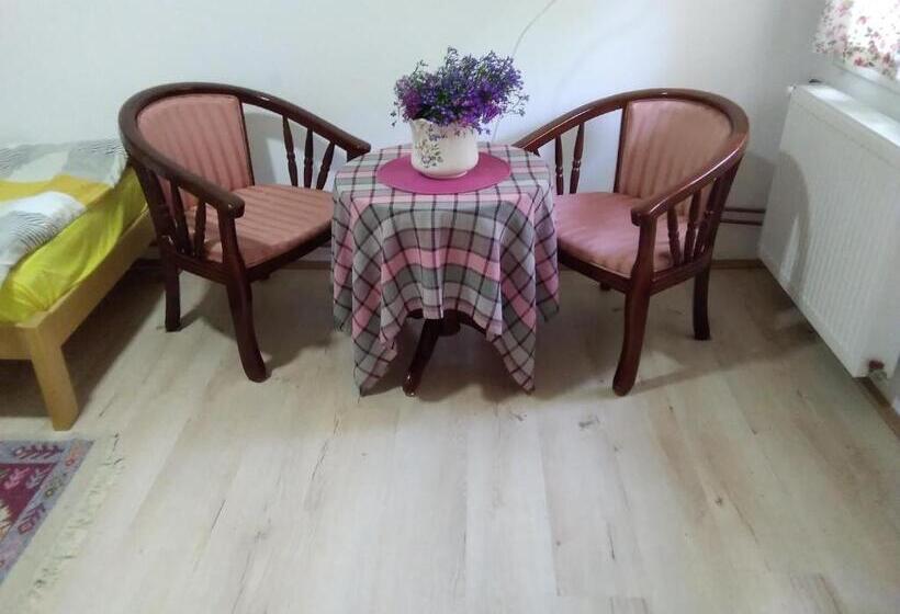 استودیوی استاندارد, Guest House Isidora