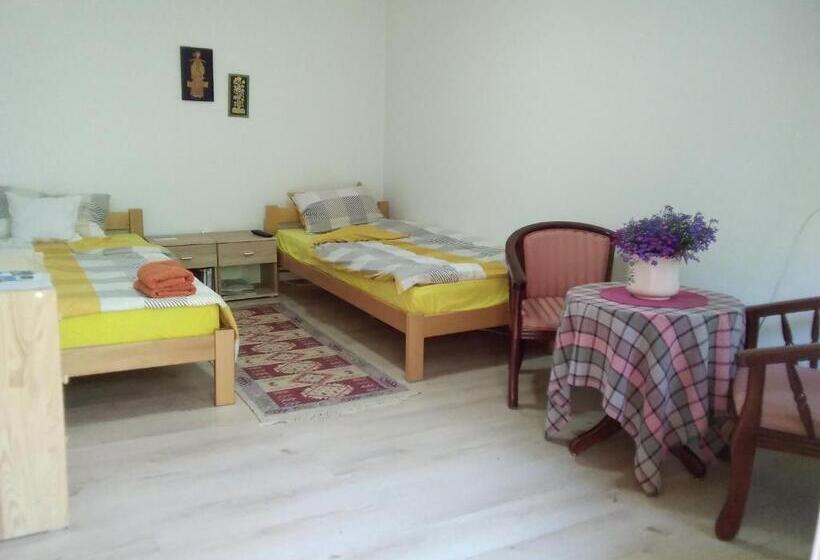 استودیوی استاندارد, Guest House Isidora